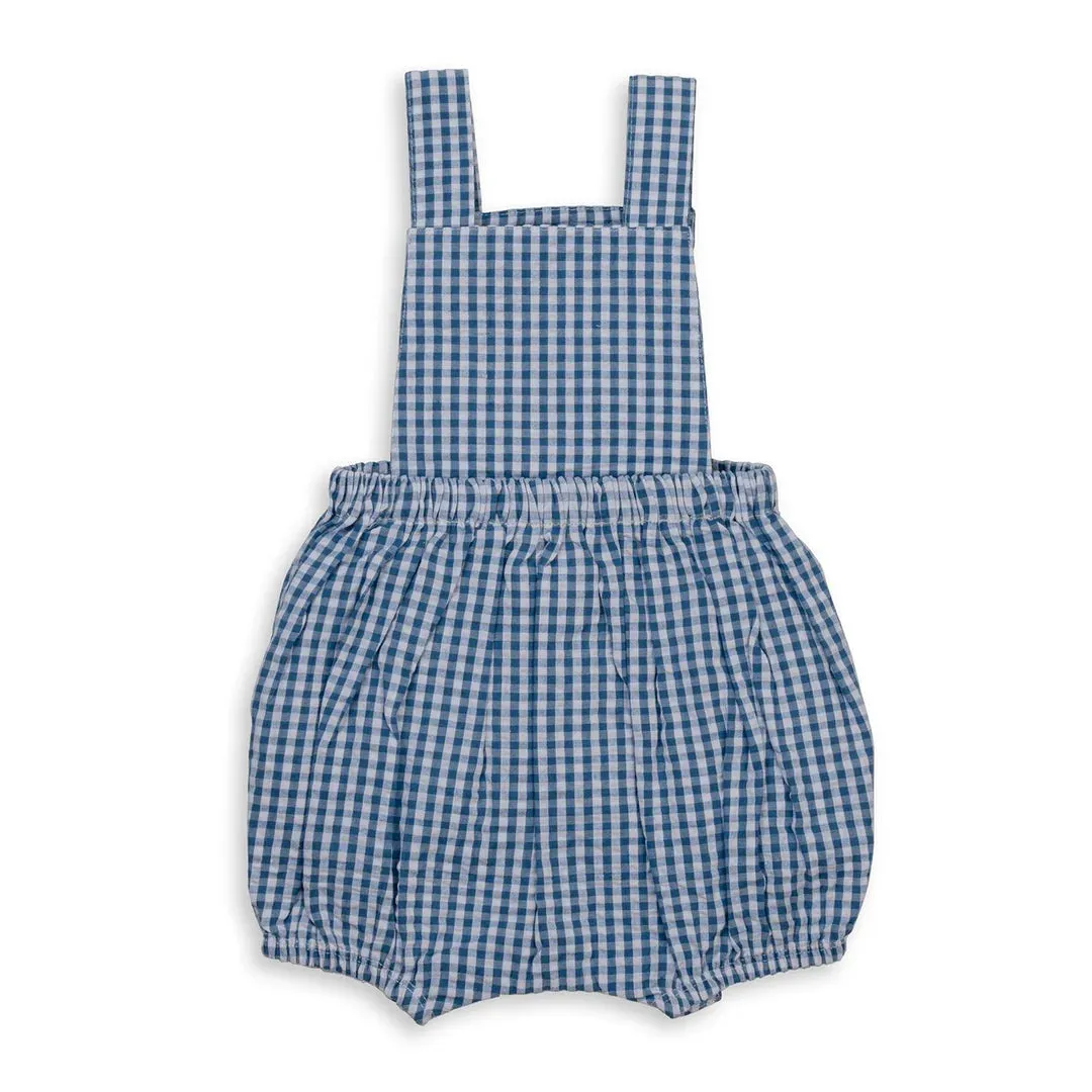 TINY TWIG OVERALLS BLUE GINGHAM